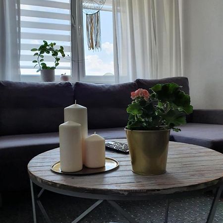 Apartament Przy Ratuszu 马尔堡 外观 照片